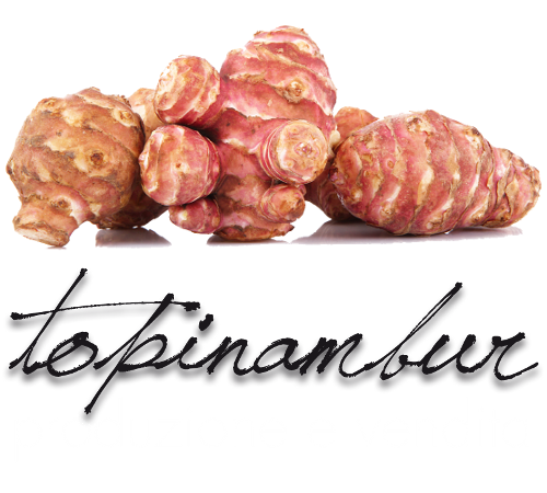 Azienda Agricola Zanchettin - Vendita Topinambur